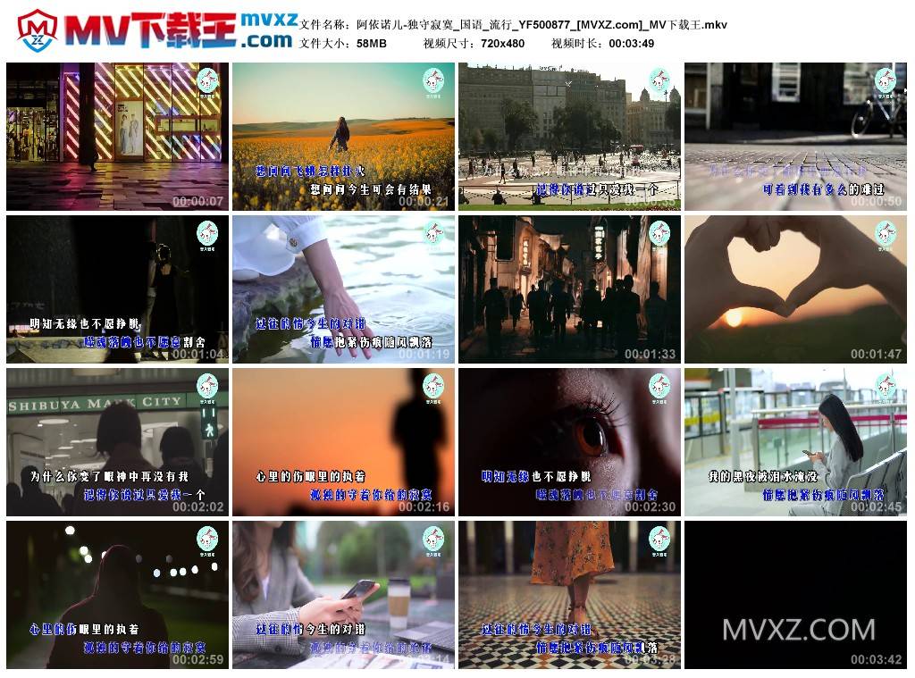 阿依诺儿-独守寂寞_国语_流行_YF500877
